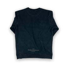 Load image into Gallery viewer, Discovery Sweatshirt Medium