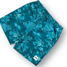 Load image into Gallery viewer, Stussy Shorts 30