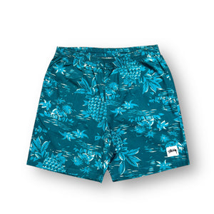 Stussy Shorts 30