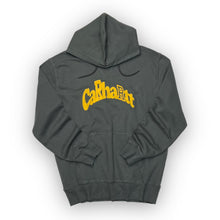 Load image into Gallery viewer, Carhartt Hoodie Medium